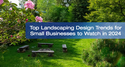 Top Landscape Design Trends for Small Businesses to Watch in 2024