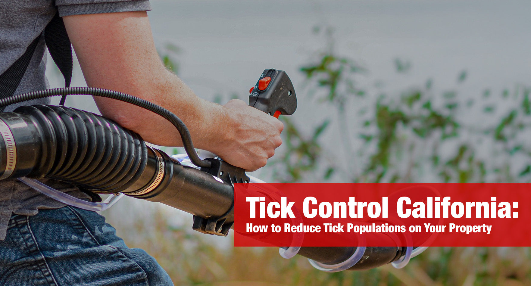 Tick Control California: How to Reduce Tick Populations on Your Property