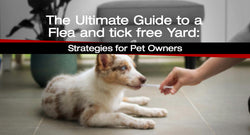 The Ultimate Guide to a Flea- and Tick-Free Yard: Strategies for Pet Owners