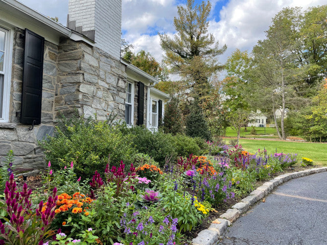 Spring Pest Control Tips