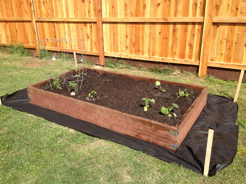 A Guide To Building A Raised Garden Bed