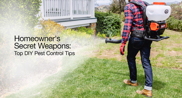 Homeowner's Secret Weapons: Top DIY Pest Control Tips