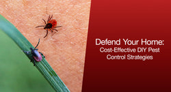 Defend Your Home: Cost-Effective DIY Pest Control Strategies