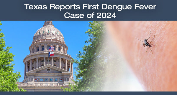 Texas Reports First Dengue Fever Case of 2024