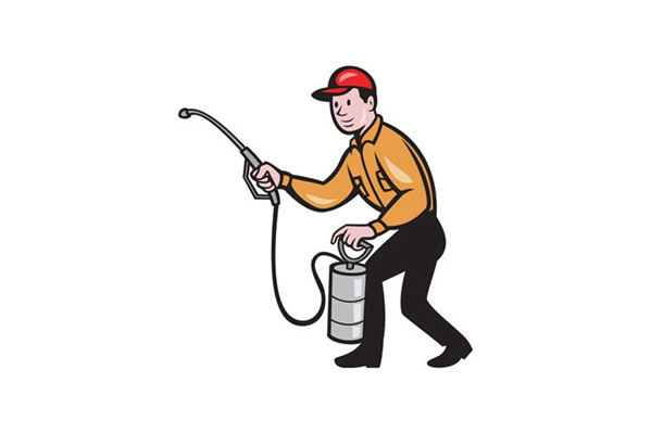 Is hiring a pest control company worth it?