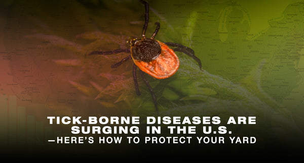 Tick-Borne Diseases Are Surging in the U.S.—Here’s How to Protect Your Yard