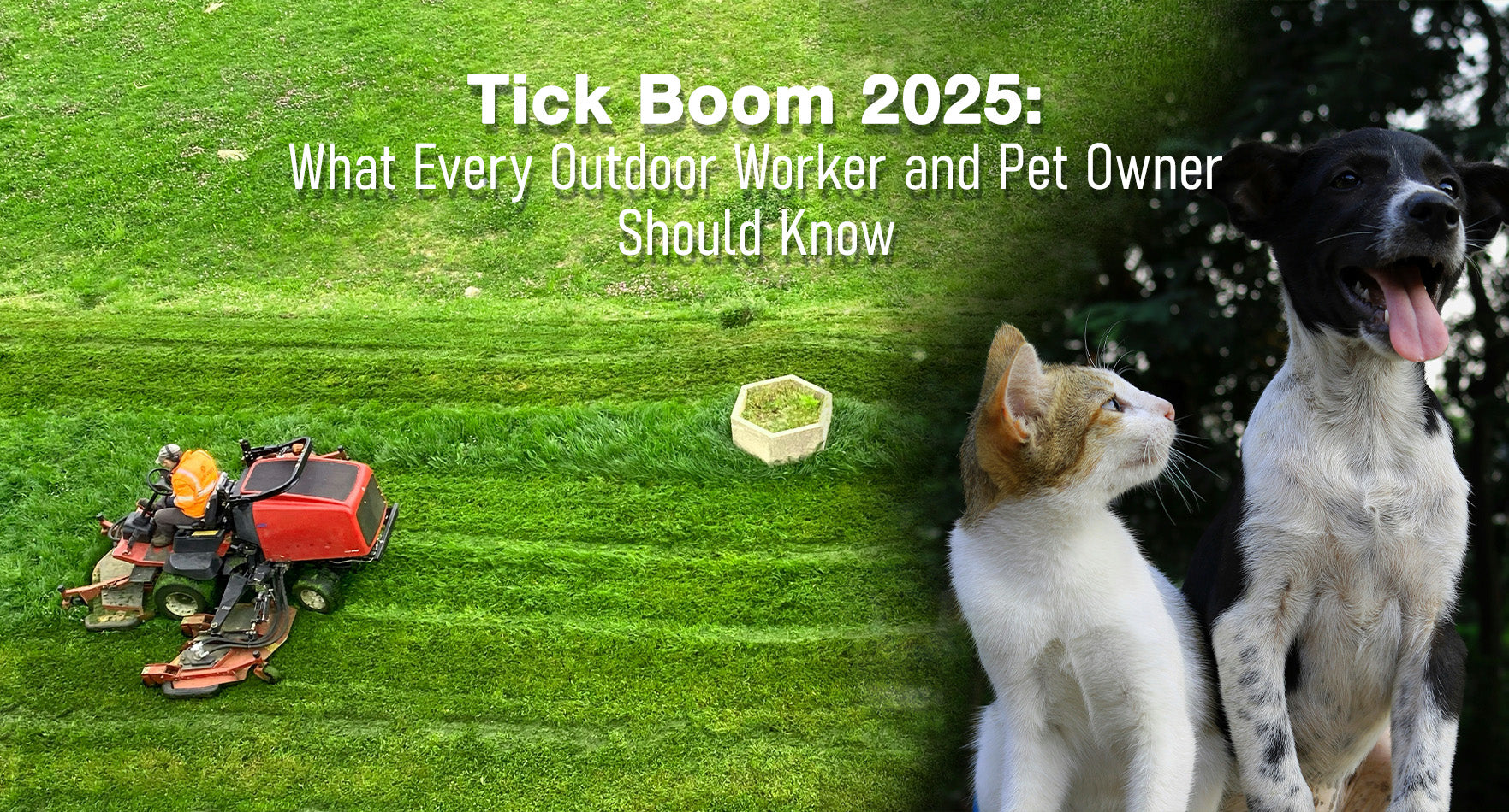 Tick Boom 2025: What Every Outdoor Worker and Pet Owner Should Know