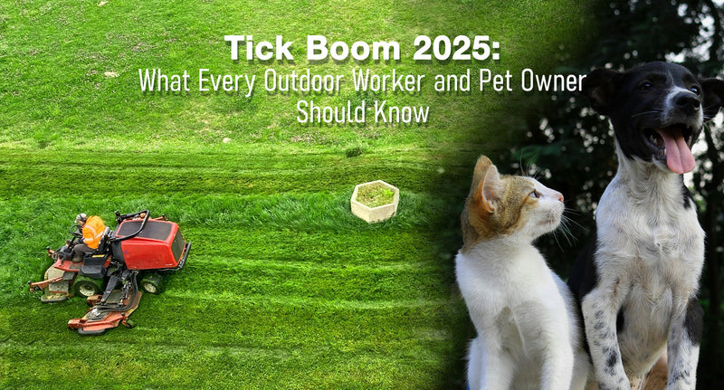 Tick Boom 2025: What Every Outdoor Worker and Pet Owner Should Know