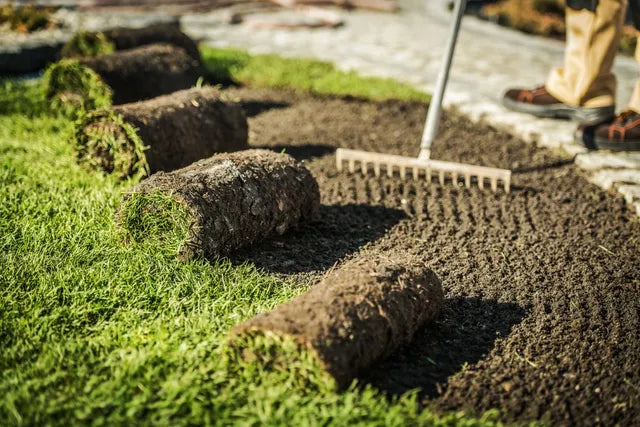 Do I need to compact the lawn after laying sod?