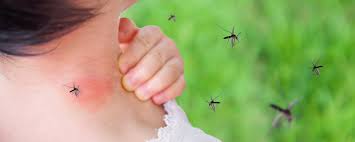 Can Mosquito Bites Kill You? Understanding the Potential Dangers of Mosquito-Borne Diseases