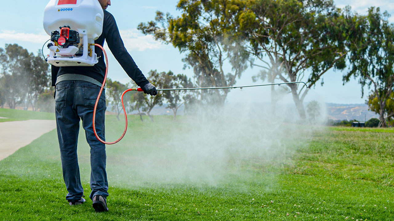 Keeping Your Garden Looking Incredible Starts with Weed Removal