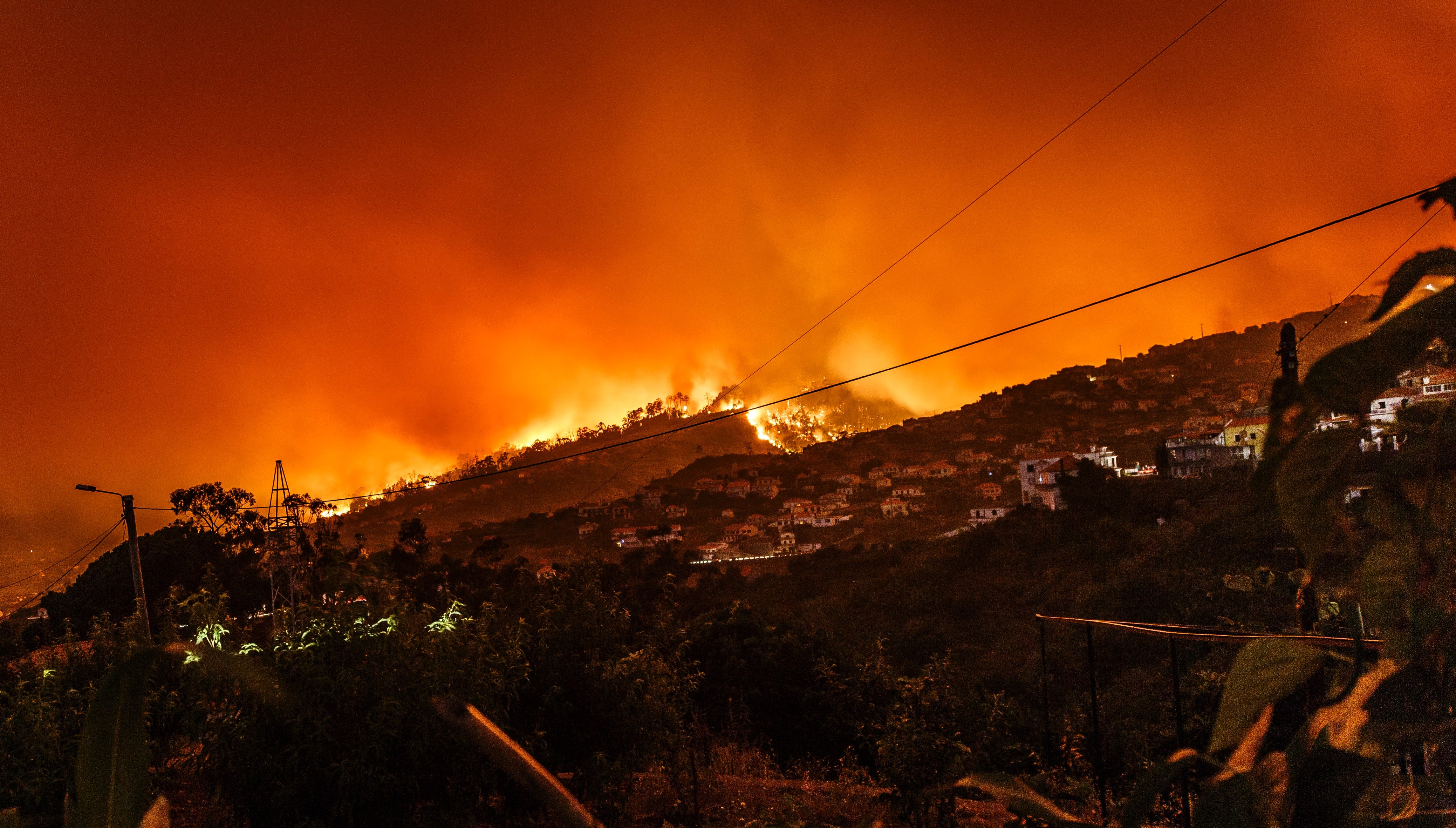 A New Way To Protect Your Home From 2021’s Fire Season