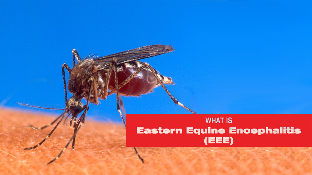 What is EEE or Triple E And How to Avoid It – Tomahawk Power