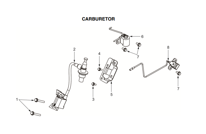 Champion generator carburetor removal diagram