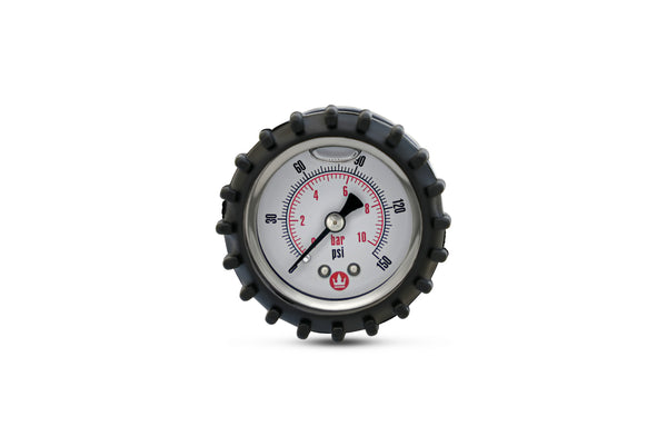 Replacement Gauge for eTPS18 Electric Sprayer Handle