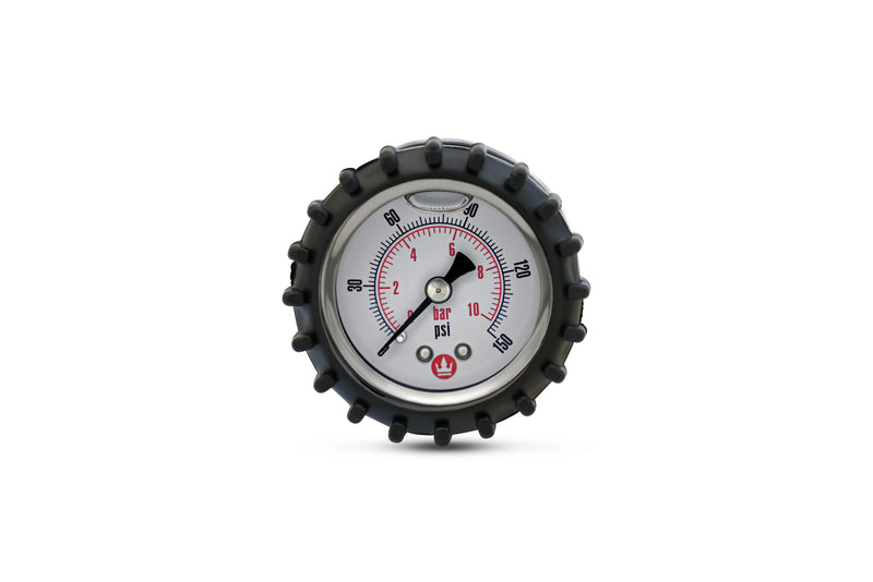 Replacement Gauge for eTPS18 Electric Sprayer Handle